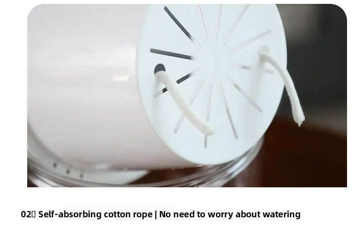 Self-Watering Hanging Planter