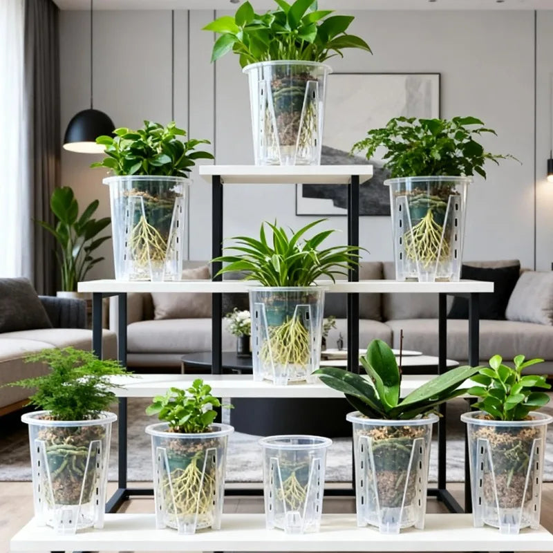 Clear Root Control Orchid Pot