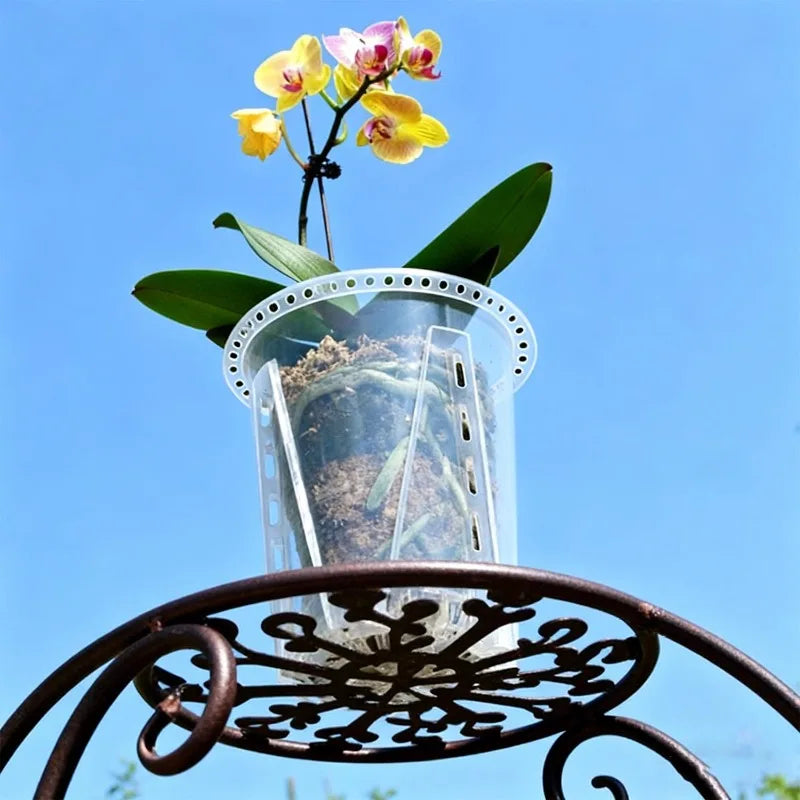 Clear Root Control Orchid Pot