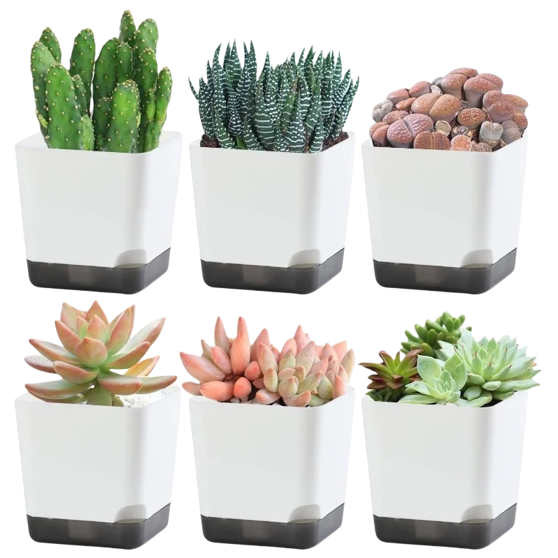 Self-Watering Plant Pots (5PCS)