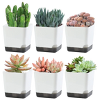Self-Watering Plant Pots (5PCS)