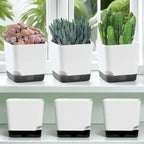 Self-Watering Plant Pots (5PCS)