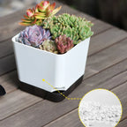 Self-Watering Plant Pots (5PCS)