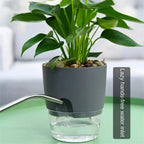 Self-Watering Plastic Flower Pots (5/10PCS)