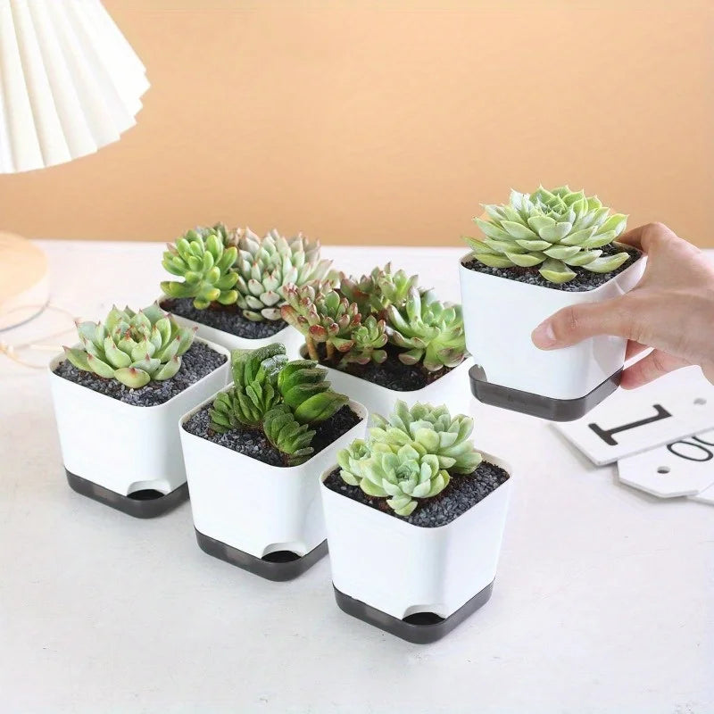 Self-Watering Plant Pots (5PCS)