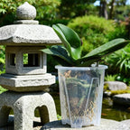 Clear Root Control Orchid Pot