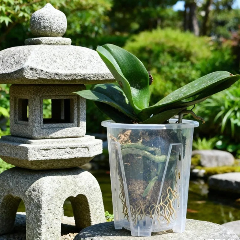 Clear Root Control Orchid Pot