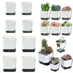 Self-Watering Plant Pots (5PCS)