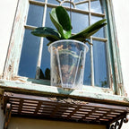 Clear Root Control Orchid Pot