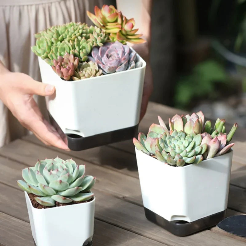 Self-Watering Plant Pots (5PCS)