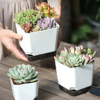 Self-Watering Plant Pots (5PCS)
