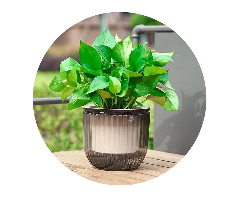 Self-Watering Hanging Planter