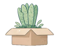 Packaging & Shipping